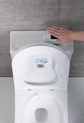 Newage Automatic Toilet Flusher MT01, , large image number 2